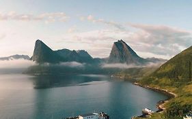 Senja Living